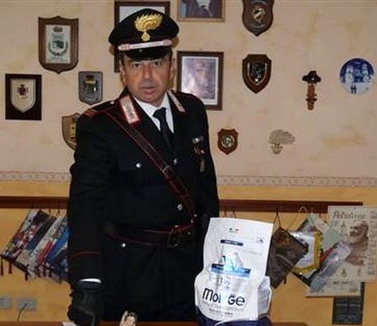 Spacciano denaro falso, finiscono ai domiciliari