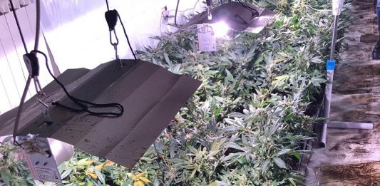 Droga in due villette, 43enne ai domiciliari