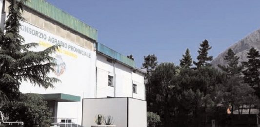 Il futuro del Consorzio agrario, irrompe la Confederazione agricoltori: “Giù le mani dalla cantina”