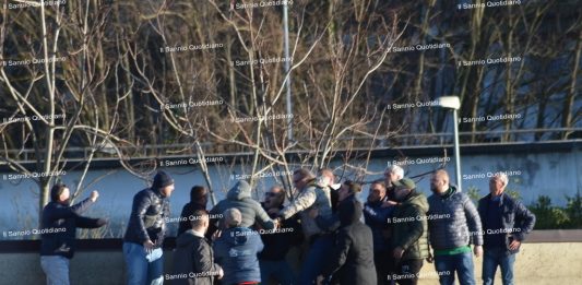 aggressione mellusi