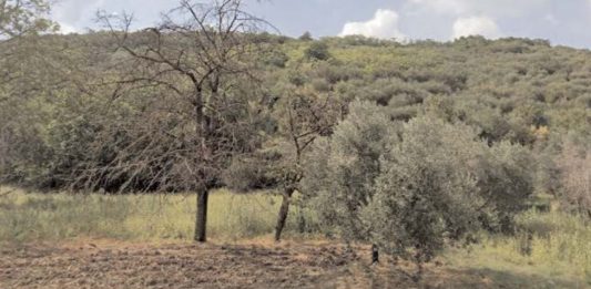 Malore nei campi a Luzzano, muore 85enne: a ritrovarlo il figlio che non lo aveva visto rincasare