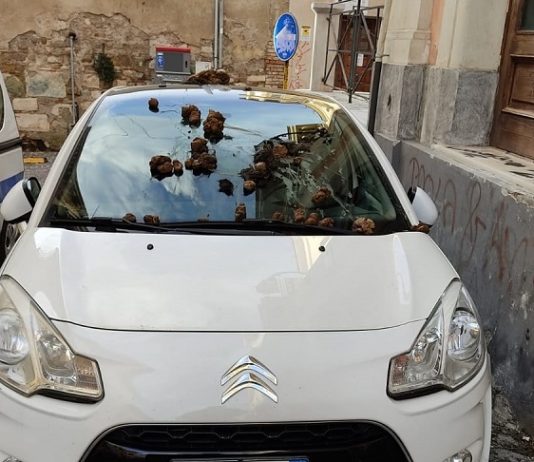 Auto in divieto di sosta impedisce passaggio autoambulanza, ignoti la ricoprono di sterco