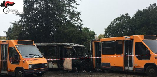 Estorsione a Trotta Bus, indagati respingono le accuse: “Mai fatto minacce, facevo l’abusivo per sopravvivere”