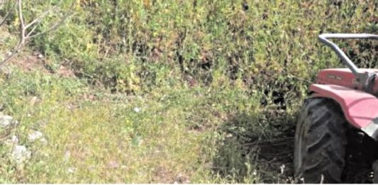 Ennesimo incidente nei campi: 40enne muore travolto dal trattore