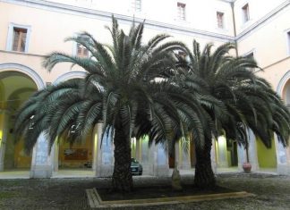 Unisannio, dalla Regione fondi per sei milioni di euro