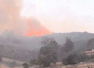 Un vasto incendio ha colpito Baselice: danni a ettari di boschi e terreni agricoli