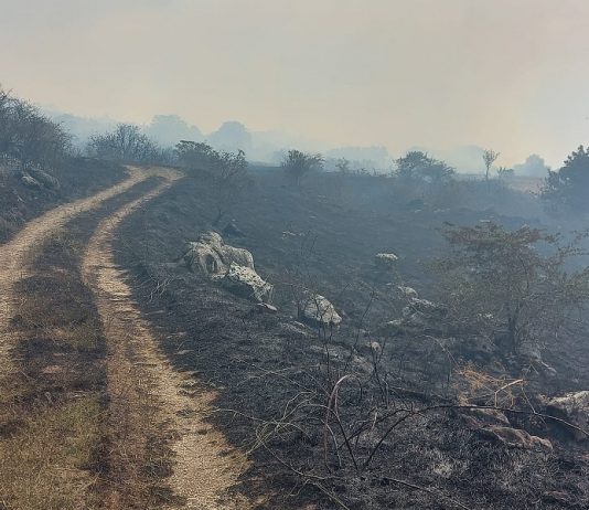 Circello in fiamme, abitazioni evacuate precauzionalmente. Il Sindaco: «Situazione mai affrontata prima»