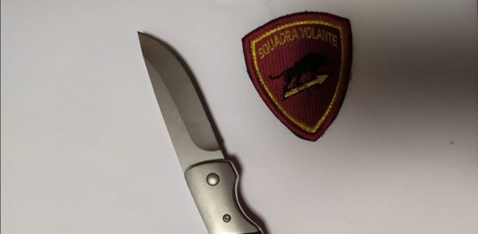 Tentata rapina al centro commerciale, arrestato bulgaro