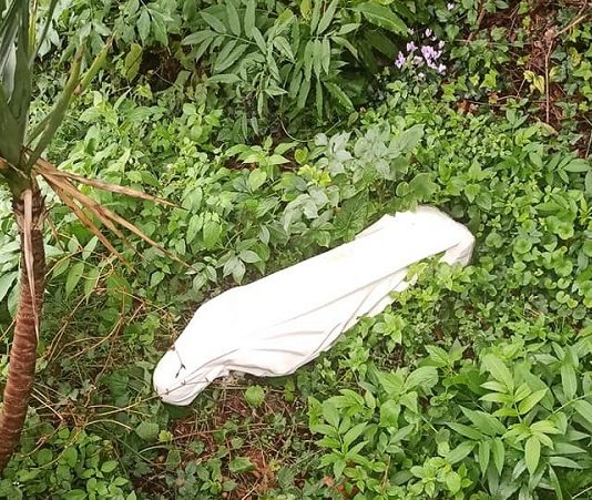 Cautano, profanata la Grotta di Lourdes: danneggiate due statuette