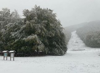 Primi fiocchi di neve in provincia: cadono a Bocca della Selva