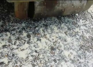 Sassinoro – Impianto compostaggio, preoccupazioni dei cittadini: “Liquami sull’asfalto e puzza insopportabile”