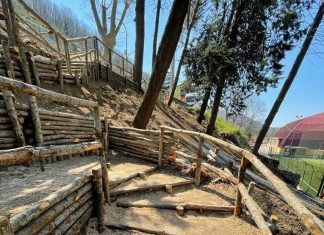 Forchia, a buon punto i lavori per la riqualificazione della pineta