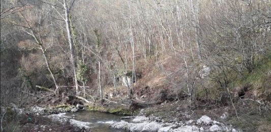 Bonifica torrente Tammarecchia, per la Regione il progetto è da rimodulare