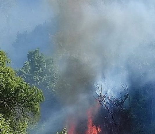 Il Sannio nella morsa degli incendi: rogo alle porte della città, fiamme anche a Paupisi e Cautano