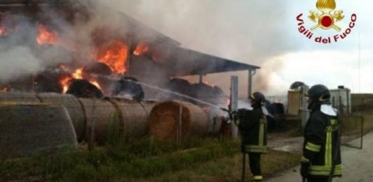 Fienile in fiamme a San Giorgio del Sannio, animali messi in salvo