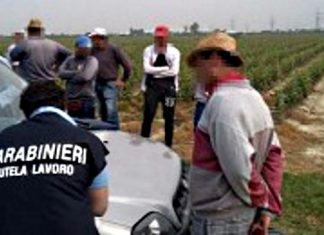 Caporalato, scattano i controlli nel Fortore: sanzionata una cooperativa e i proprietari del fondo
