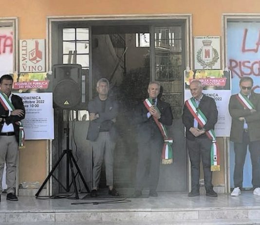 Grappoli d’uva a terra, il grido d’allarme dei viticoltori: “Intervenire prima del collasso”