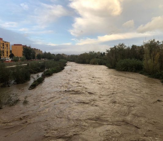 Pioggia battente, i fiumi s’ingrossano e tornano a far paura