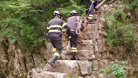 Disperso sulle forre del fiume Titerno, pastore tedesco salvato dai Vigili del Fuoco