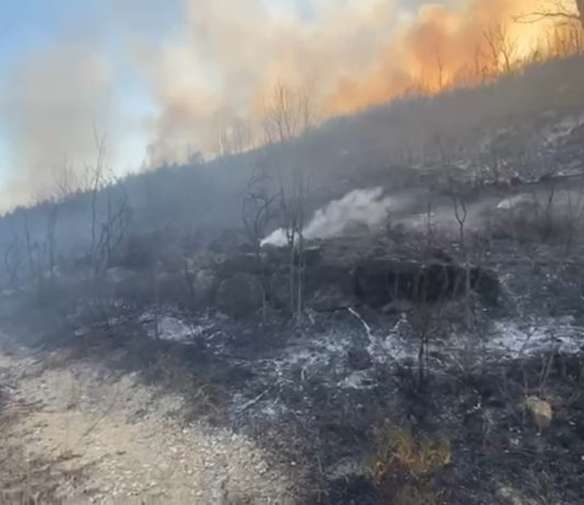 Doppio incendio minaccia abitazioni, paura a San Salvatore Telesino