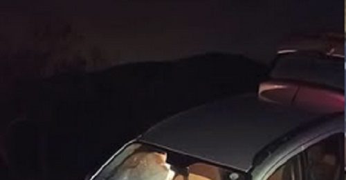 Finiscono con l’auto in una scarpata per evitare cinghiali: paura per quattro ragazzi