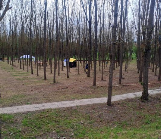 Parco De Mita, ancora scontro: Pepe attacca De Stasio, Mastella invoca il fair play