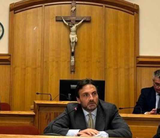 Rosa ribatte alle critiche: “Pur non essendo assessore, continuerò ad occuparmi di questioni ambientali”