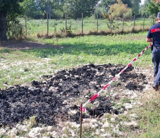 Rogo rifiuti speciali, nei guai allevatore di Bonea
