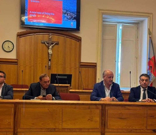 Arriva Easyvia per monitorare le strade della città