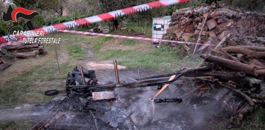 Sorpreso a bruciare rifiuti speciali, agricoltore denunciato
