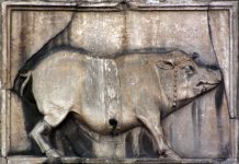 Rubriche – Cinghiale o scrofa? Il mistero dello Stemma di Benevento
