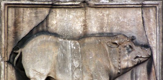 Rubriche – Cinghiale o scrofa? Il mistero dello Stemma di Benevento