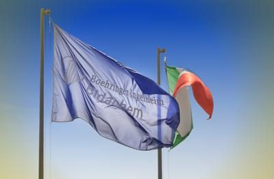 Boehringer Ingelheim, Sara Frattini alla guida di Bidachem Spa