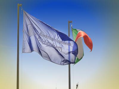 Bidachem_gruppo_Boehringer_Ingelheim_ftg