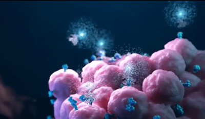 immagine_20250130172943