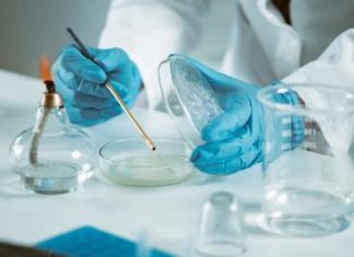 Ricerca: sclerosi multipla, nuove strategie per trattarla potenziando il sistema immunitario