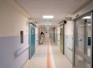 Tumori al seno, scoperte mutazioni più ‘cattive’ dei geni Jolie: riducono sopravvivenza