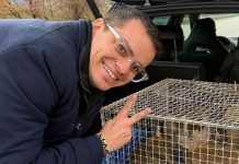 Blitz dell’animalista Rizzi a Sant’Agata de’ Goti, ma nell’allevamento è tutto in regola