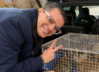 Blitz dell’animalista Rizzi a Sant’Agata de’ Goti, ma nell’allevamento è tutto in regola