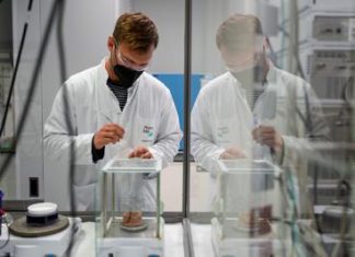 Carcinoma polmonare, ok Ema a lurbinectedina e immunoterapia in prima linea