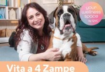 Qvc Italia, debutta nuova categoria per care con uno show su amici a quattro zampe