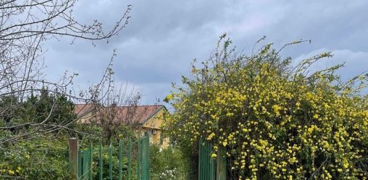 San Giorgio del Sannio – Ex campo tennis, chiesta bonifica urgente