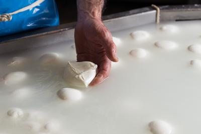 Produzione-mozzarella-Dop