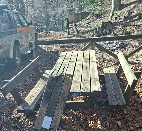 area picnic camposauro