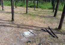 Dubbi su rifiuti e abbattimenti, nuovi rilievi sul parco ‘De Mita’