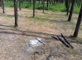 Dubbi su rifiuti e abbattimenti, nuovi rilievi sul parco ‘De Mita’