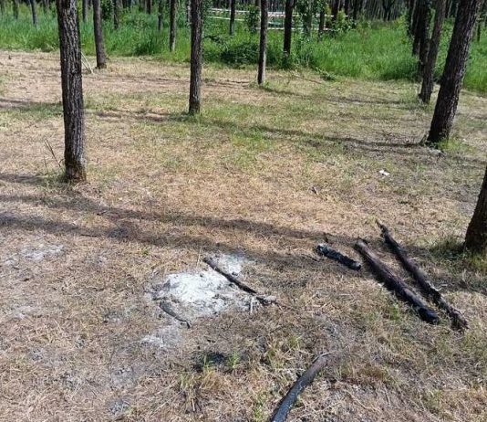Dubbi su rifiuti e abbattimenti, nuovi rilievi sul parco ‘De Mita’