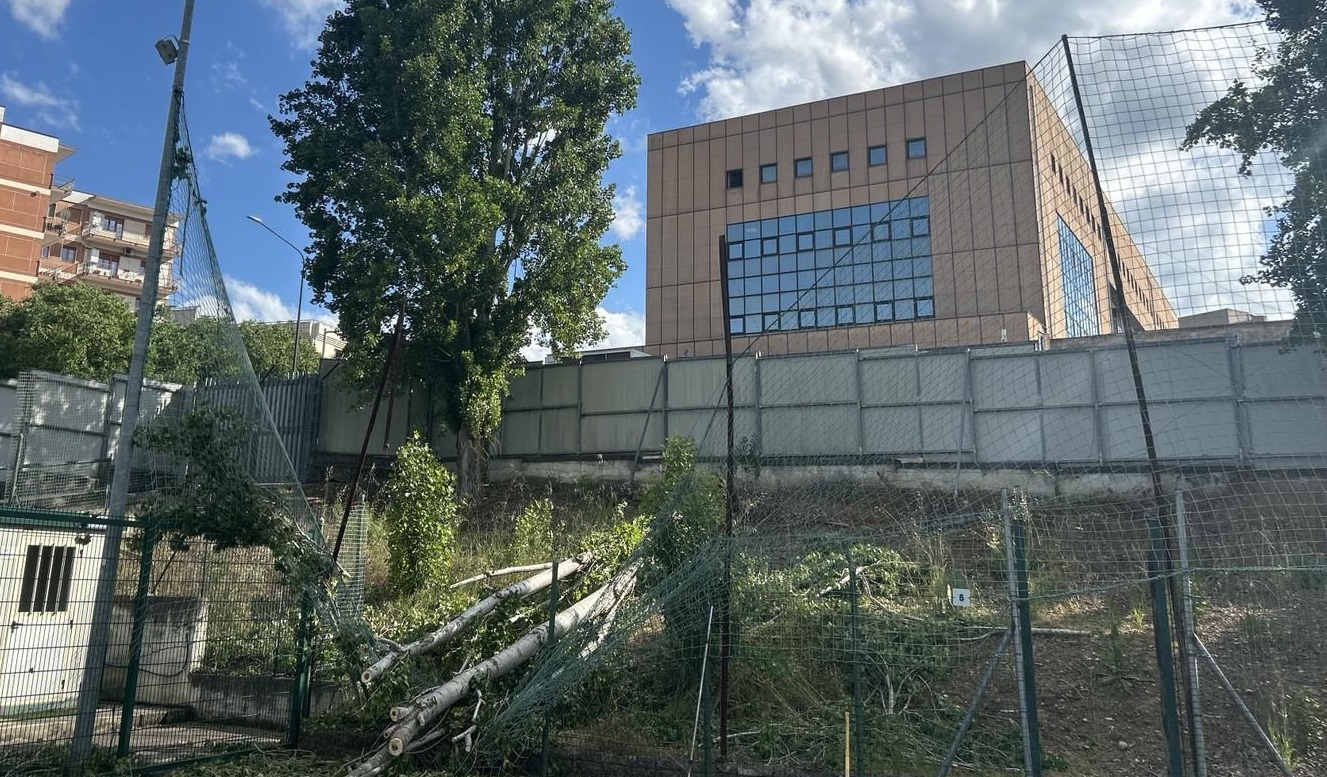 alberi via mustilli