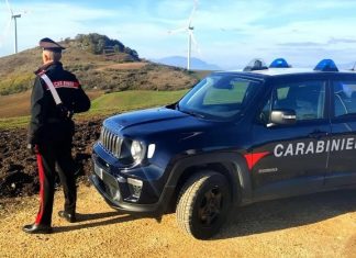 Aziende agricole, scattano controlli e sanzioni da parte dei Carabinieri