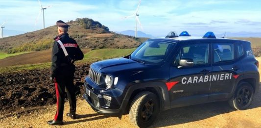 Aziende agricole, scattano controlli e sanzioni da parte dei Carabinieri